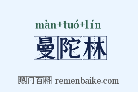 曼陀林是什么意思的图片